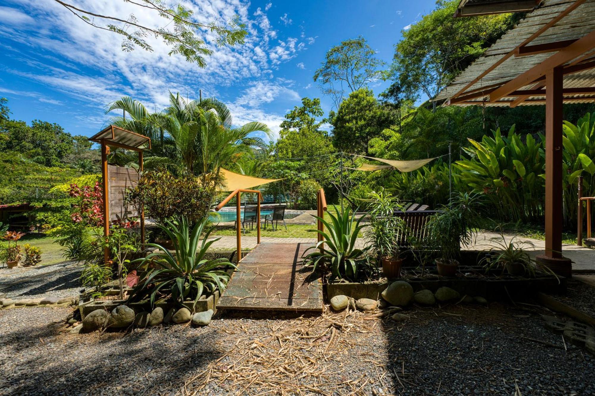 Bamboo River House And Hotel Dominical Eksteriør billede